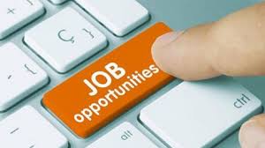 UPSSSC Recruitment 2023 : यूपी में स्टेनोग्राफर पदों पर निकली वैकेंसी , ऐसे करे आवेदन