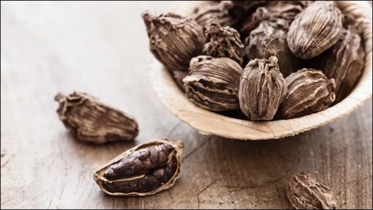 बड़ी इलायची है सेहत के लिए फायदेमंद, ये कई बीमारियों से बचाती है