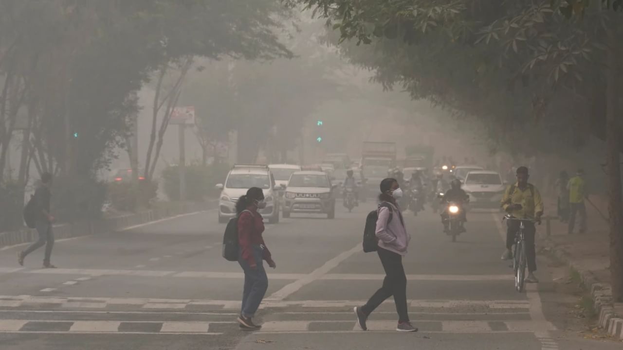 वायु प्रदूषण के प्रभाव से हर दूसरा व्यक्ति नाक और कान की बीमारी का हो रहा शिकार , सर्वे का दावा