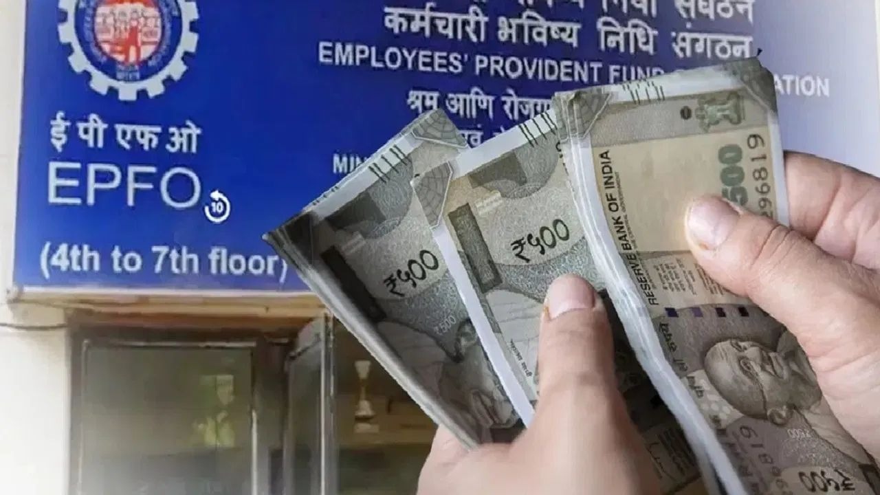 आपके PF से सरकार कैसे करती है कमाई ? इन कंपनियों में लगा है पैसा