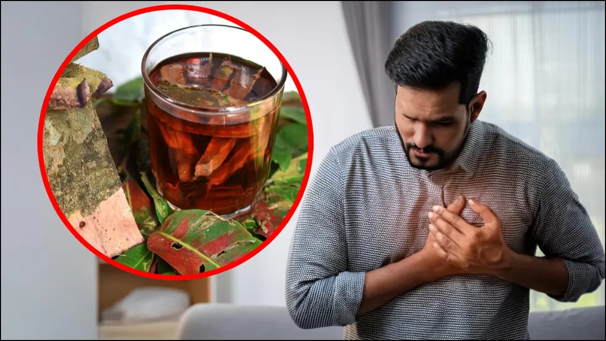 सुबह उठकर यह देसी चाय पिएं, दिल की बीमारियों को दूर रखें, पंसारी से यह लकड़ी खरीद लाएं