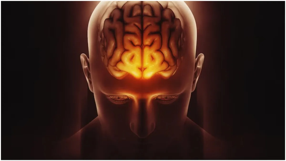 याददाश्त हो रही है कमजोर? इन सुपरफूड्स को खाएं और दिमाग तेज बनाएं