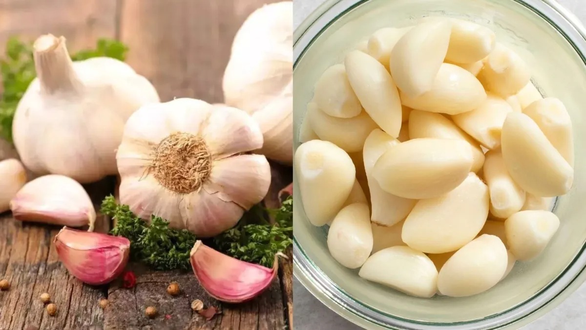 सेहत के लिए अमृत है लहसुन, जानें क्यों सुबह खाली पेट खाने की होती है सलाह