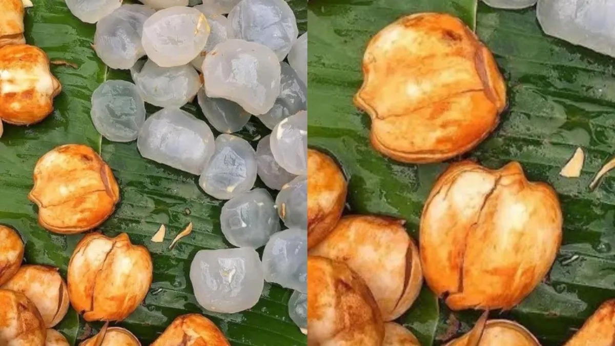 गर्मियों में क्यों जरूरी है ताड़गोला खाना? सेहत को मिलते हैं ये जबरदस्त फायदे