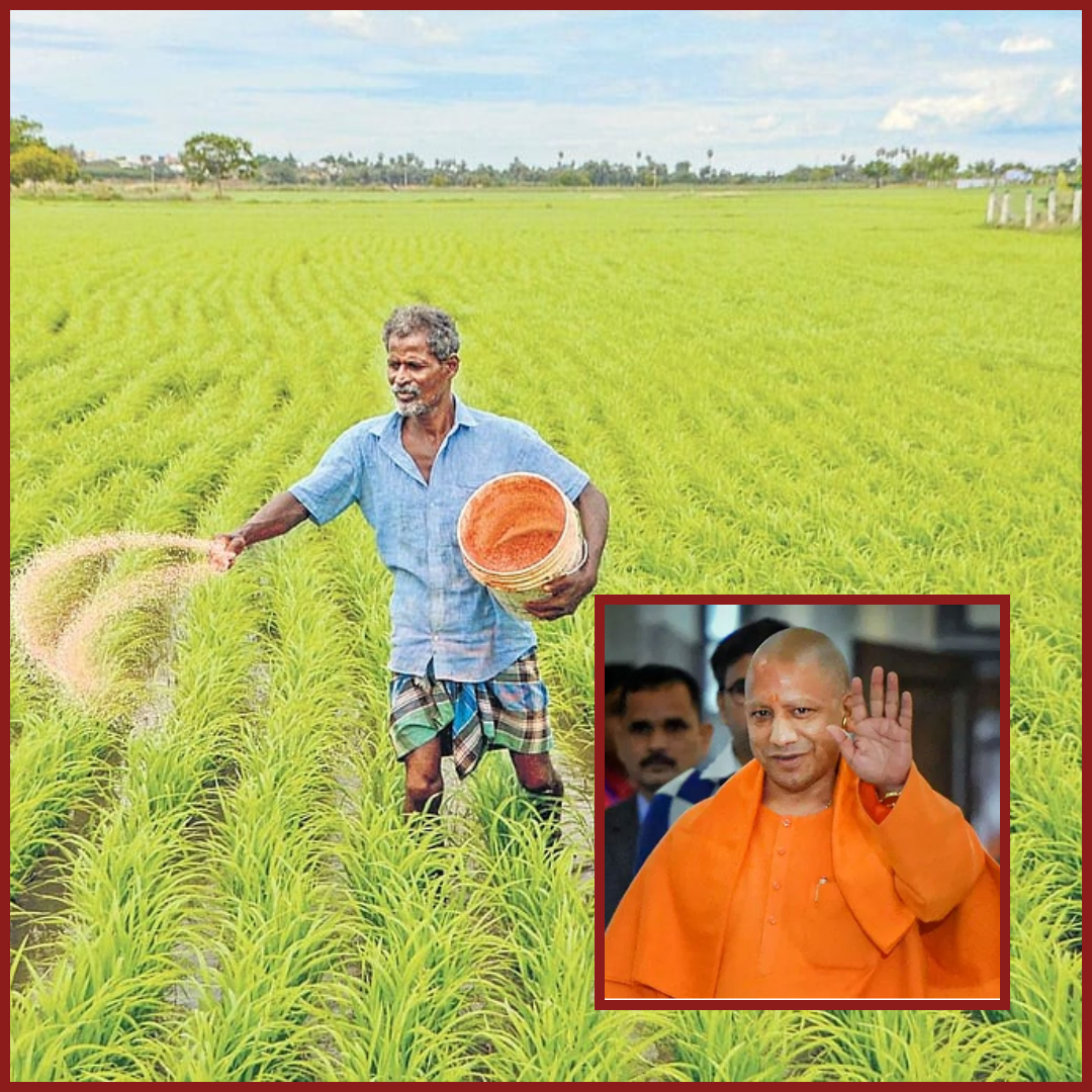 योगी सरकार का बड़ा फैसला: ग्रामीण अर्थव्यवस्था को मिलेगी ताकत राइस मिलर्स और किसानों को मिली 1% रिकवरी छूट का तोहफा