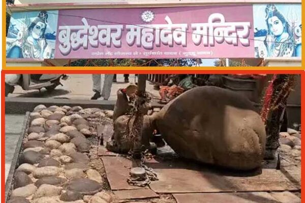 लखनऊ के बाबा बुद्धेश्वर मंदिर से दानपात्र चोरी, चार दिन में दूसरी वारदात से सुरक्षा व्यवस्था पर उठे सवाल